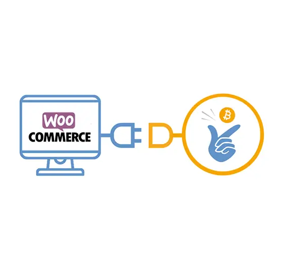 WooCommerce Plugin Development and Integration